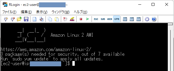 Amazon Linux 2への接続完了